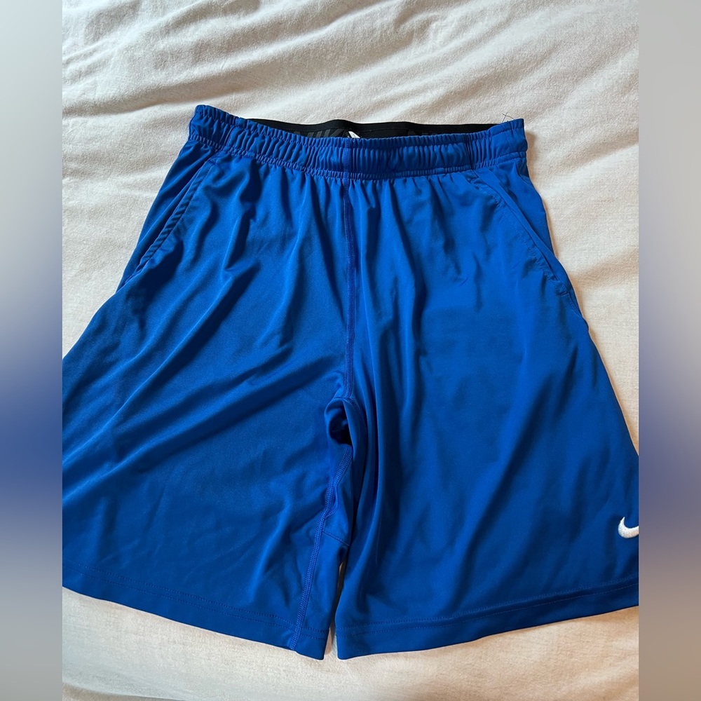 Nike Dri-Fit blue shorts